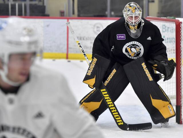 4279010_web1_ptr-Penguins05-092421
