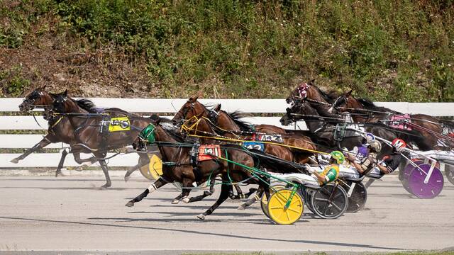 4286728_web1_ptr-HarnessRacing-53120
