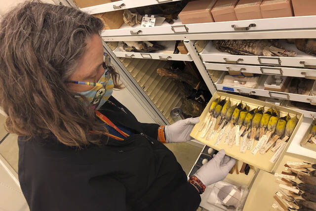 4287097_web1_4287097-f231669c2b434e2d850efc828302dbe6 4287097_web1_4287097-f231669c2b434e2d850efc828302dbe6