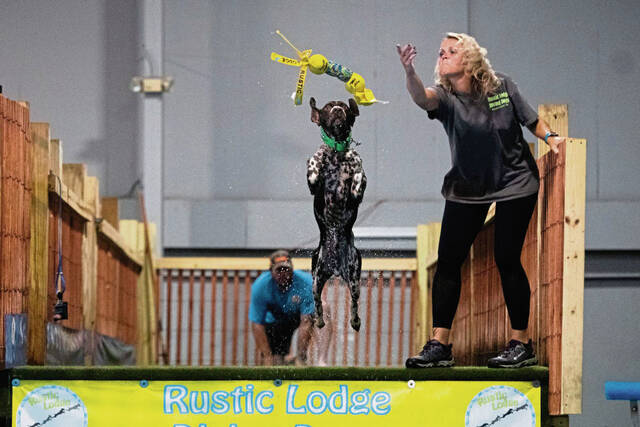 4288509_web1_gtr-divingdogs3-100221