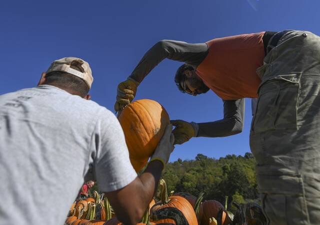 4293136_web1_GTR-LO-SchrammPumpk5-100121
