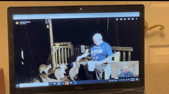 4299264_web1_gtr-BishopRaccoon-100321