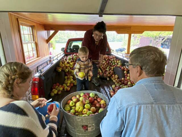 4301976_web1_gtr-applefest6
