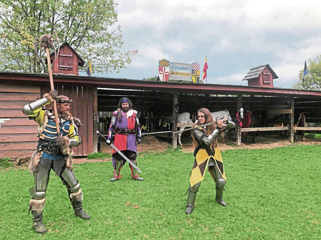 4302687_web1_VND-RenFest-100421