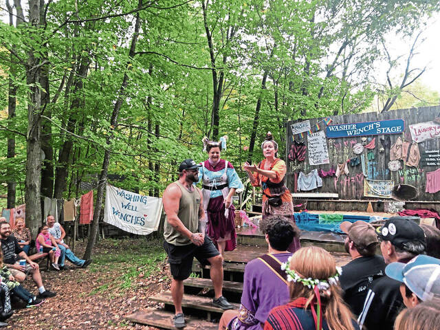 4302687_web1_VND-RenFest10-100421
