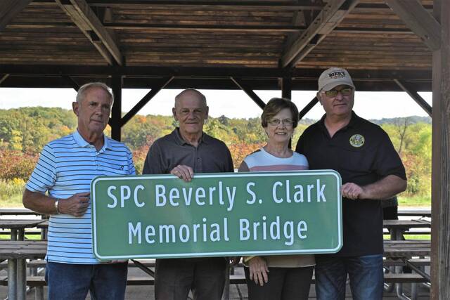 4307818_web1_gtr-ClarkBridge2-100621