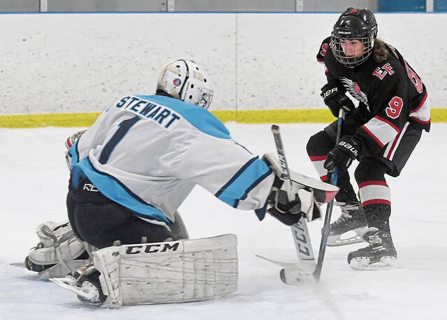 Burrell hockey team features deeper roster for 1st-year head coach