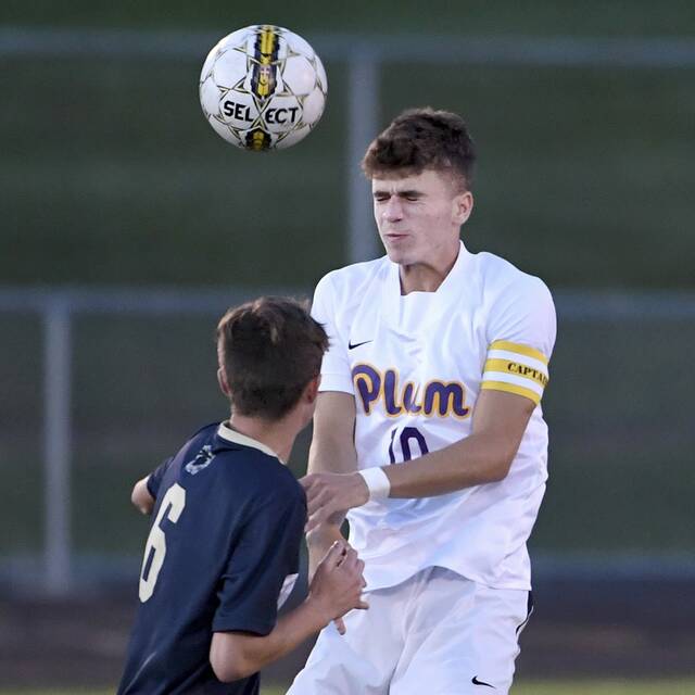 WPIAL soccer rankings: Week of Oct. 11, 2021