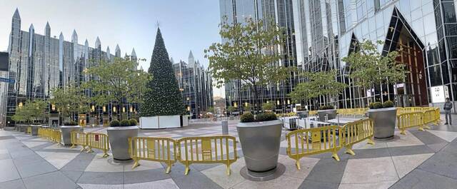 4333785_web1_ptr-ppgtree-1