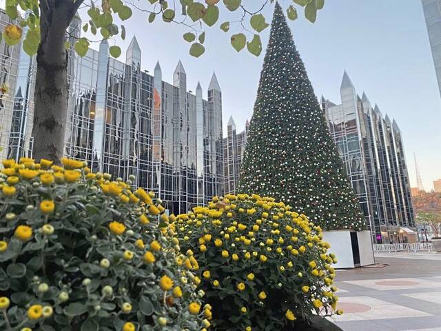4333785_web1_PTR-PPGTree