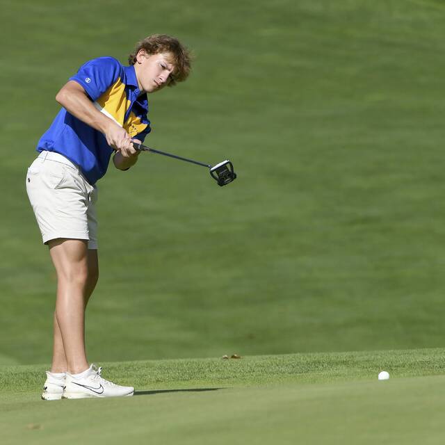 Hampton junior shoots for success on golf course, hockey rink
