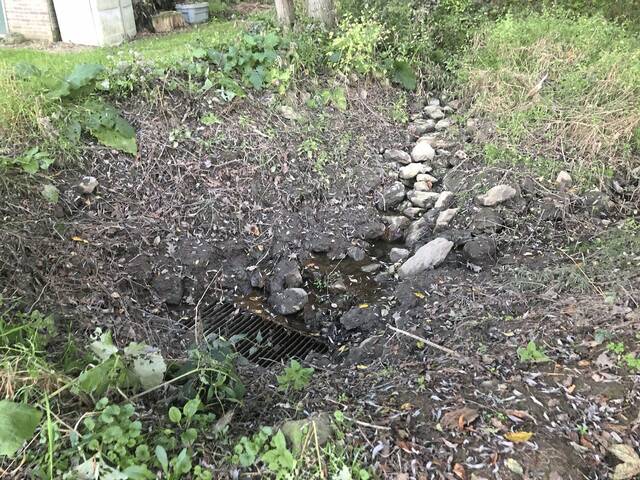 4341012_web1_VND-BuffaloWaterProblem2-101521