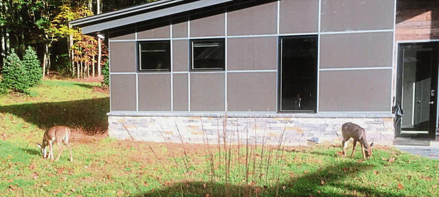 4343482_web1_vnd-DeerManagementProgram-101621-5