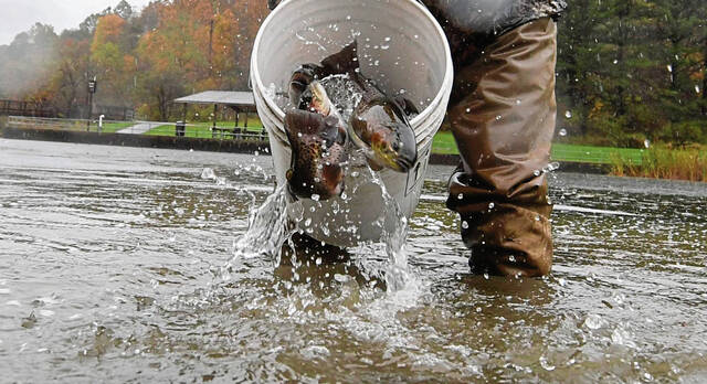 4347082_web1_vnd-fishstocking3-102319