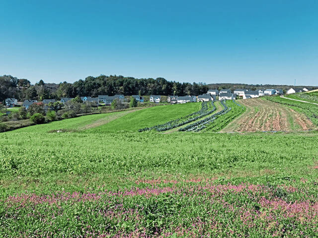 4347774_web1_vnd-farmperservation2-101921
