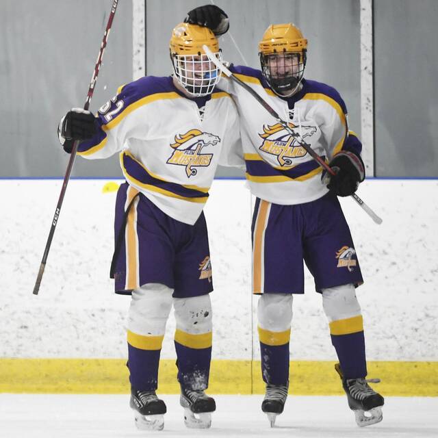 Young lineup off to strong start for Plum hockey
