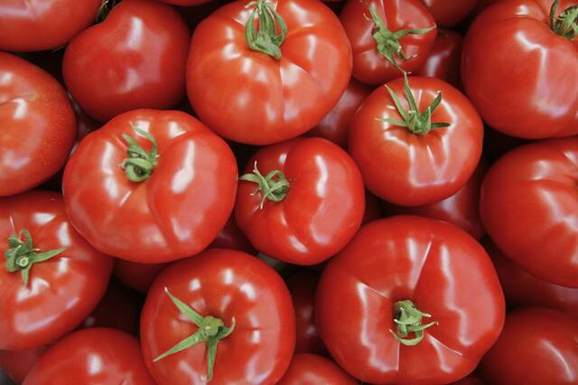 4367284_web1_web-tomatoes2