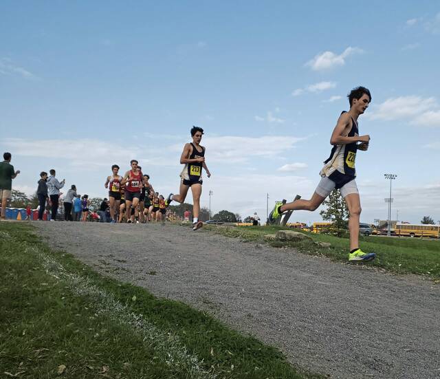 Ringgold sophomore repeats, runners get WPIAL preview at Tri-State cross country meet