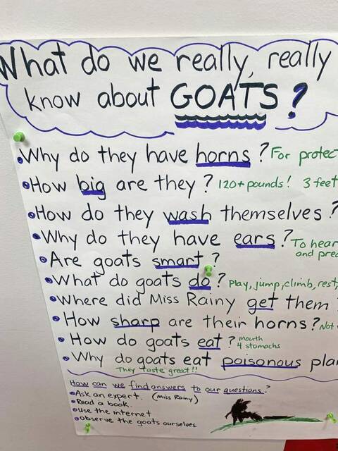 4382082_web1_SEW-Goats-6
