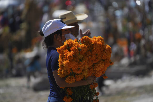 4403871_web1_4403871-96a14bfaed9e4cdd88889a780243d608