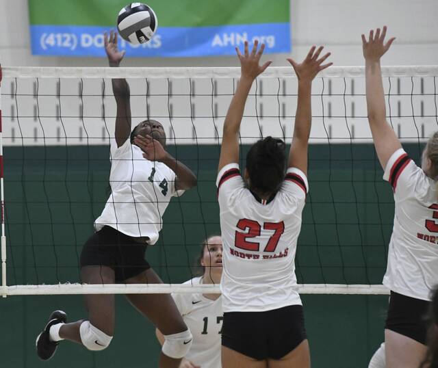 Pine-Richland volleyball team makes strong statement in playoff loss