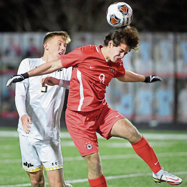 North Allegheny notebook: Tigers teams compete in postseason