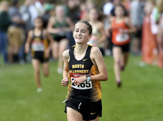 Freshmen runners help North Allegheny boys, girls again sweep WPIAL titles