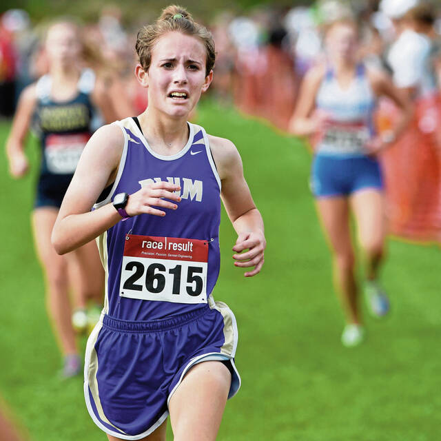 Persia leads Plum runners at WPIAL championship meet