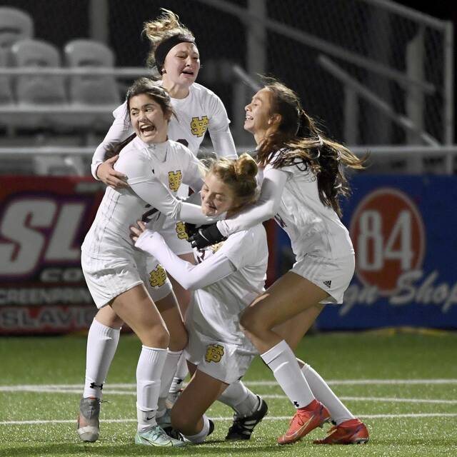 Freshman Doering scores OT winner as Steel Valley beats GCC for 1st WPIAL soccer title