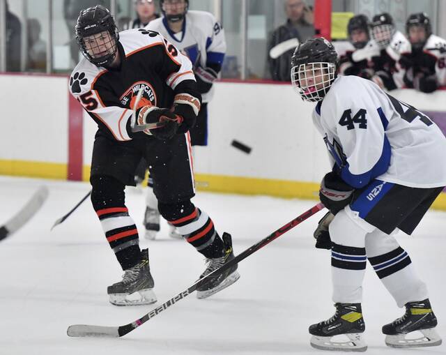 2021 PIHL standings through Nov. 7, 2021