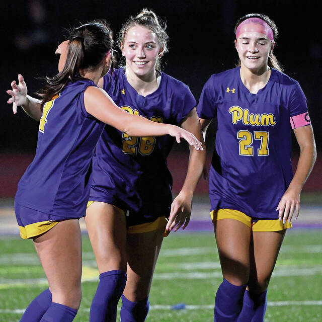 Plum beats District 6 champ Hollidaysburg for program’s 1st PIAA playoff victory