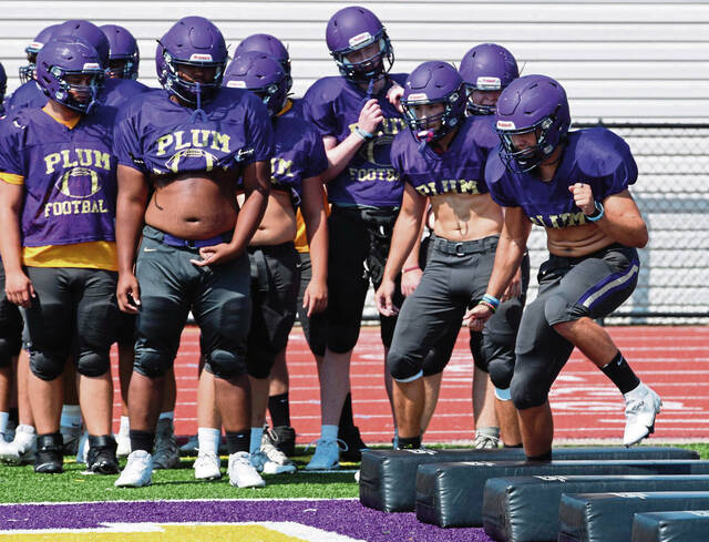 Heart, grit help carry Plum to WPIAL football playoffs