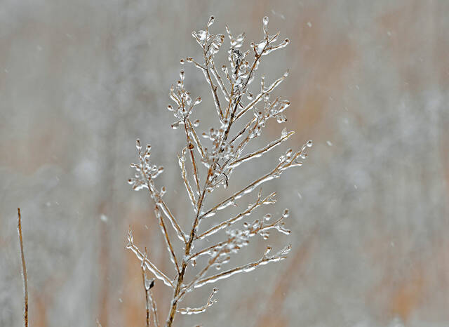4444253_web1_SnowRainMix2