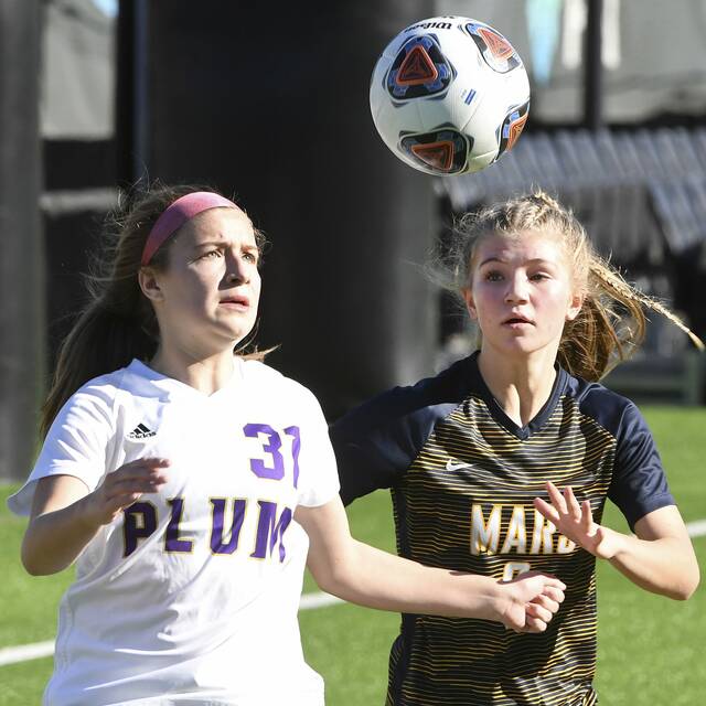 A-K Valley PIAA soccer quarterfinal capsule for Nov. 13, 2021