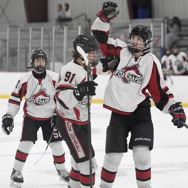 PIHL standings through Nov. 14, 2021