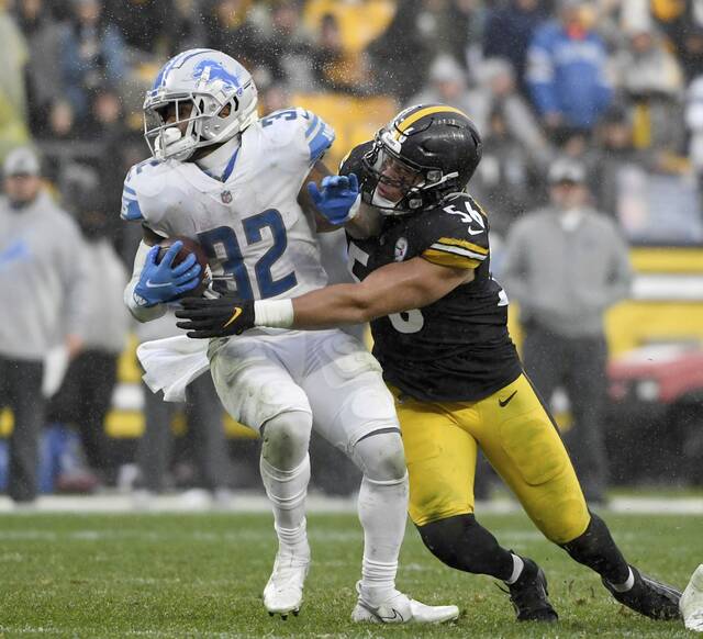 4460109_web1_ptr-SteelersLions27-11121