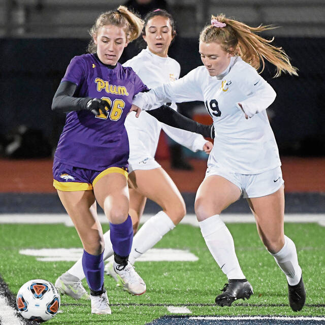 After trip to PIAA semifinals, future looks promising for Plum girls soccer