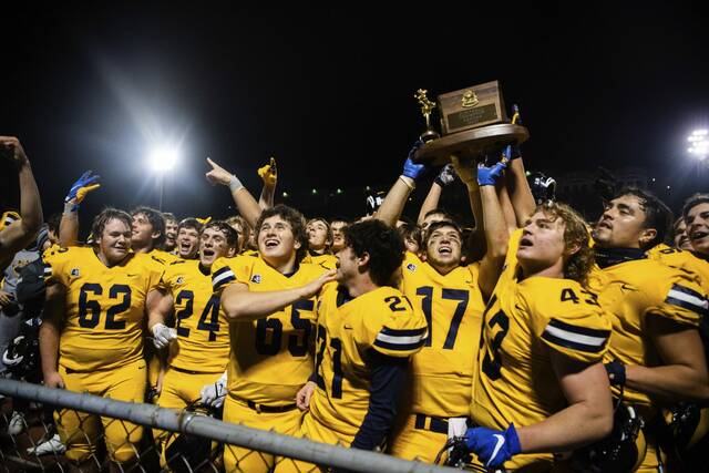 Alex Tecza’s 4 TDs help lift Mt. Lebanon to 1st WPIAL football title in 21 years