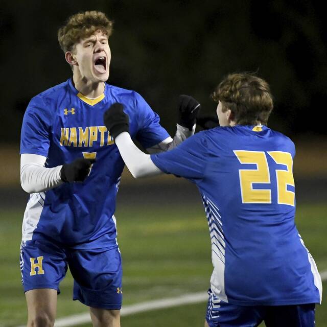 Hampton boys soccer claims state championship with shutout