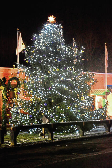4482264_web1_Pal-PlumChristmas28-120618