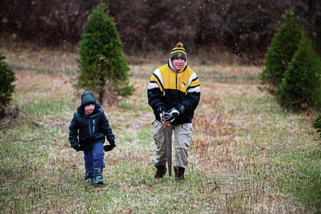 4486383_web1_ptr-christmastreefarms2-112821