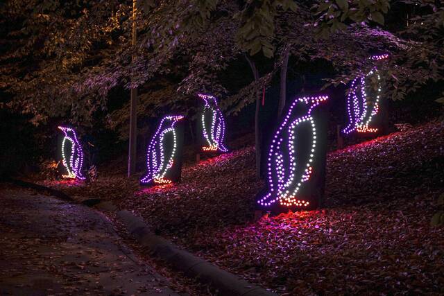 4488028_web1_PTR-FiveThingsZooLights