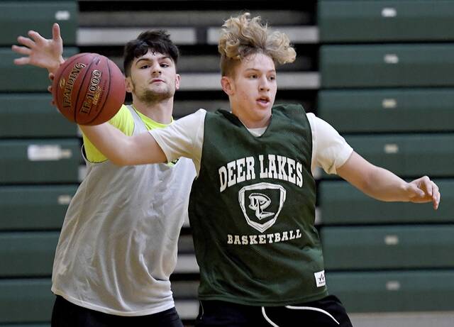 Playoff-regular Deer Lakes returns 4 starters, boasts offensive balance