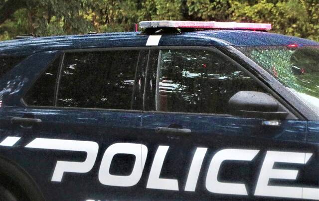 4504412_web1_WEB-police-logo-local