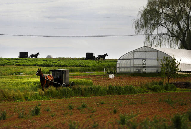 4506823_web1_AP20150470366546