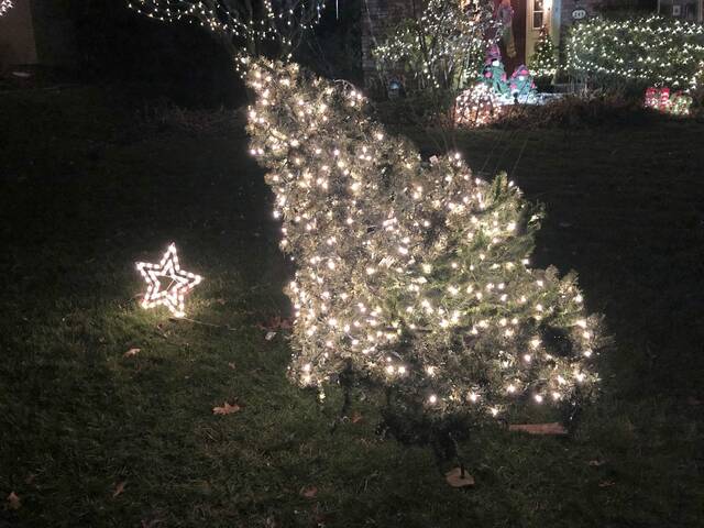 4503917_web1_gtr-monticellolights5-113021