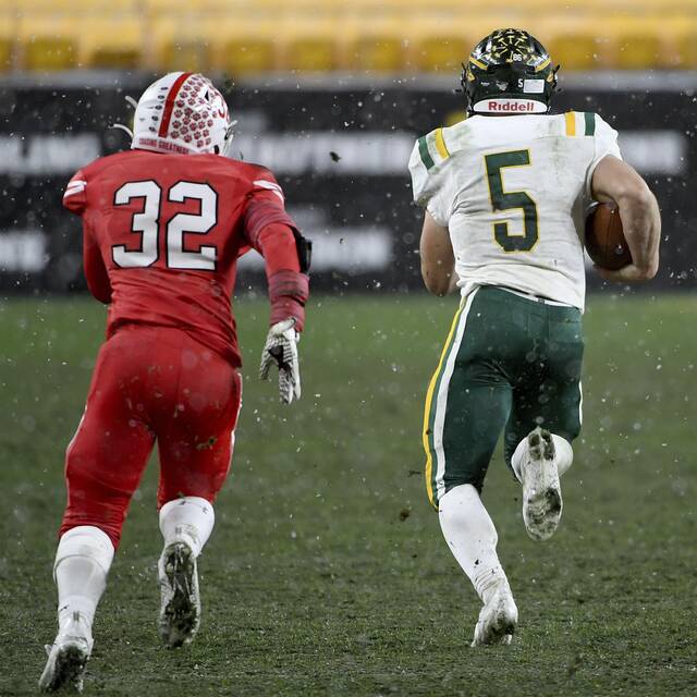 Birdie predicts state playoff ‘exet’ for last Westmoreland County team standing