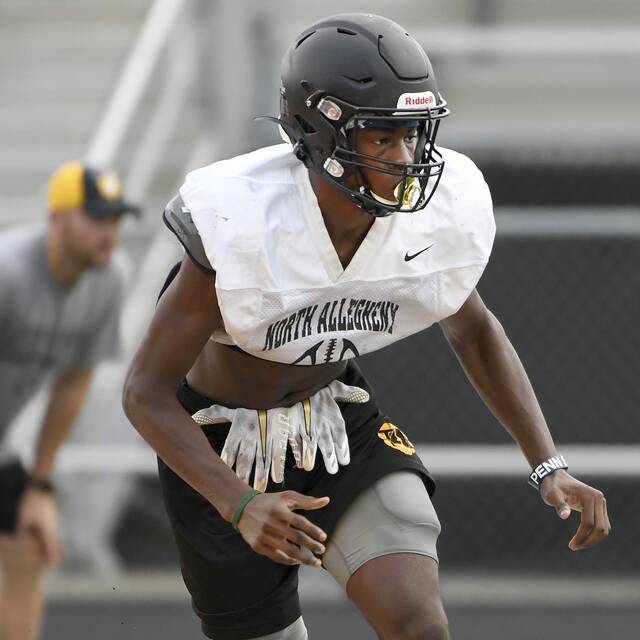 North Allegheny notebook: 7 Tigers earn 1st-team all-conference honors