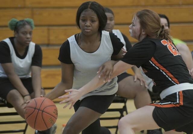 Upsized roster boosts enthusiasm in Valley girls basketball program