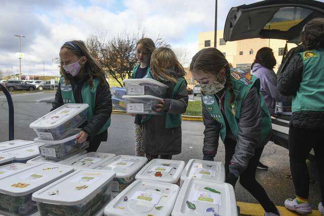 4525211_web1_te-lo-girlscouts001-120921